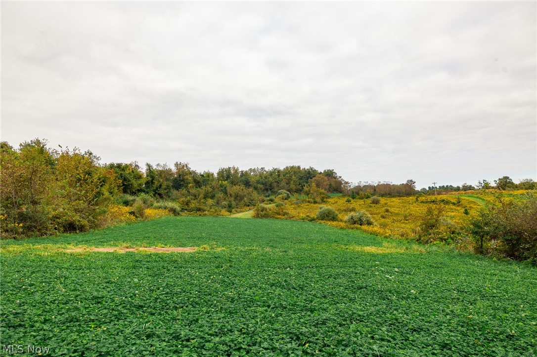 163 County Road 3 Rayland OH 43943