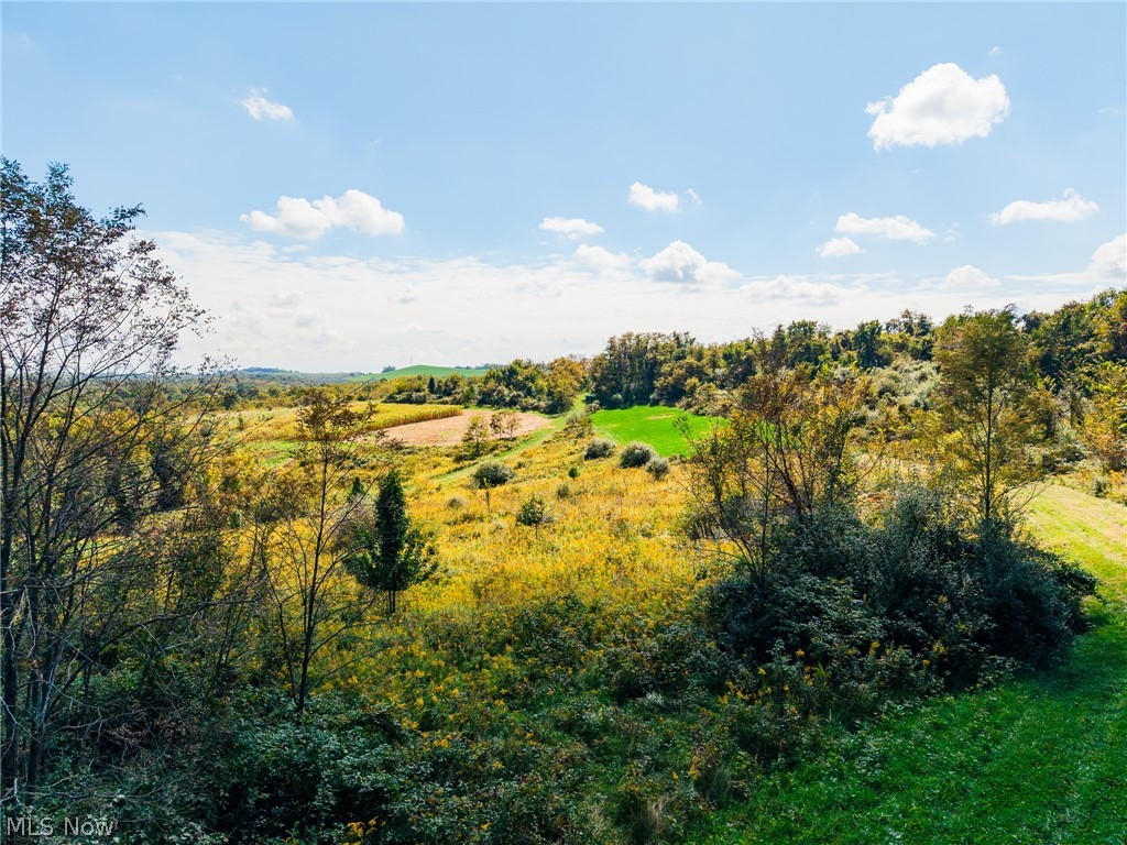 163 County Road 3 Rayland OH 43943