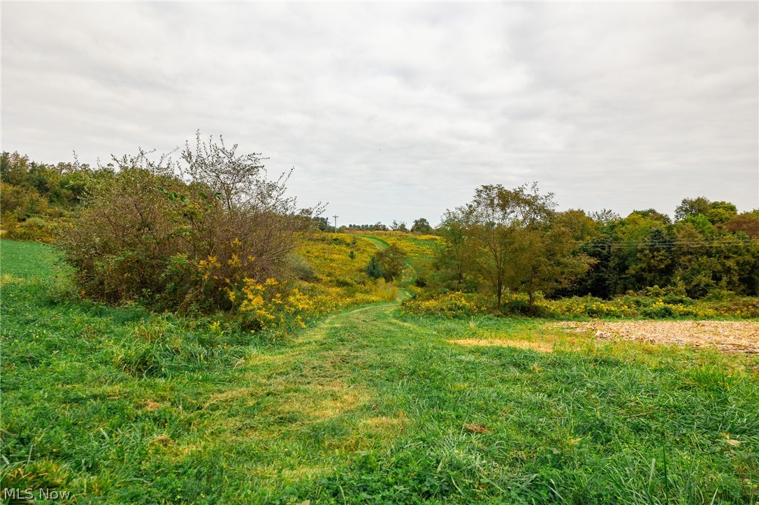 163 County Road 3 Rayland OH 43943