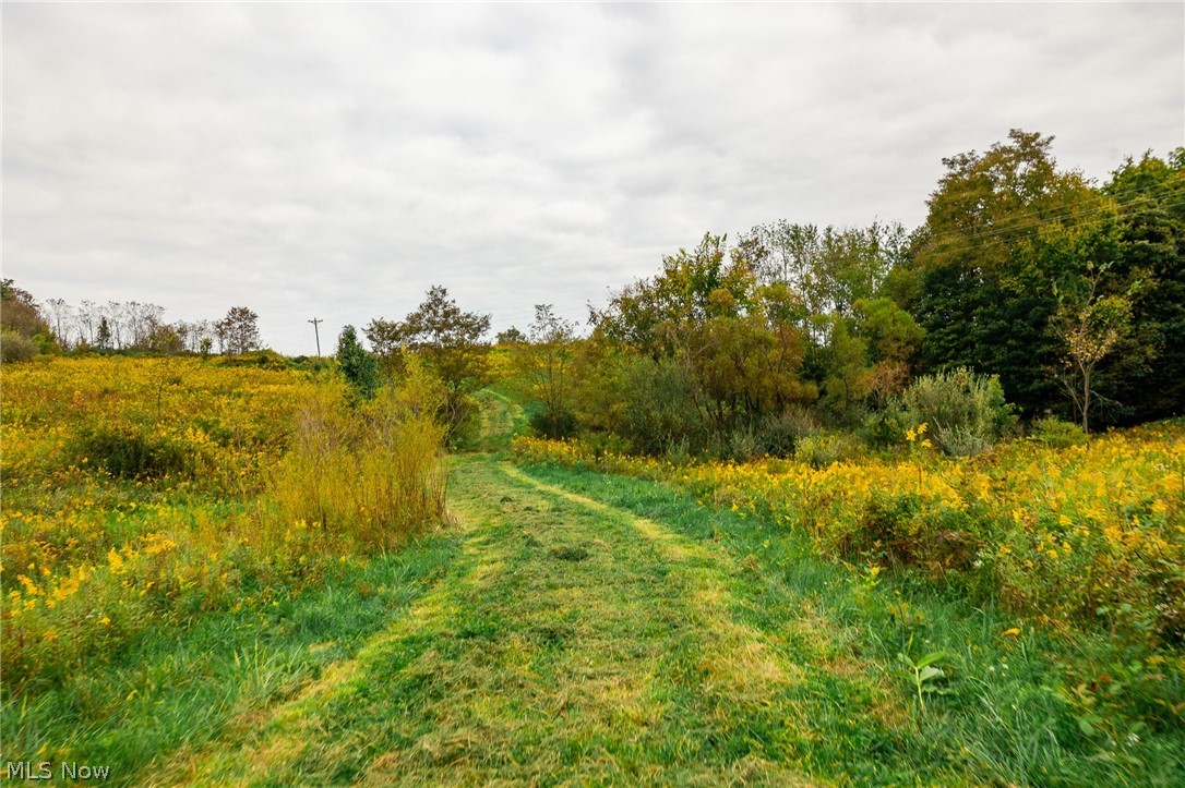 163 County Road 3 Rayland OH 43943