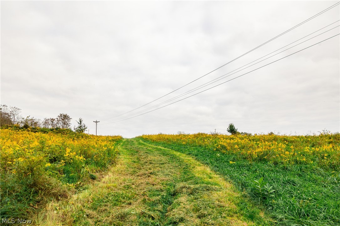 163 County Road 3 Rayland OH 43943