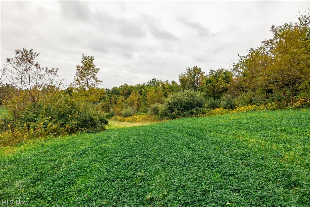 163 County Road 3 Rayland OH 43943