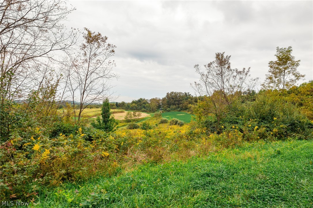 163 County Road 3 Rayland OH 43943