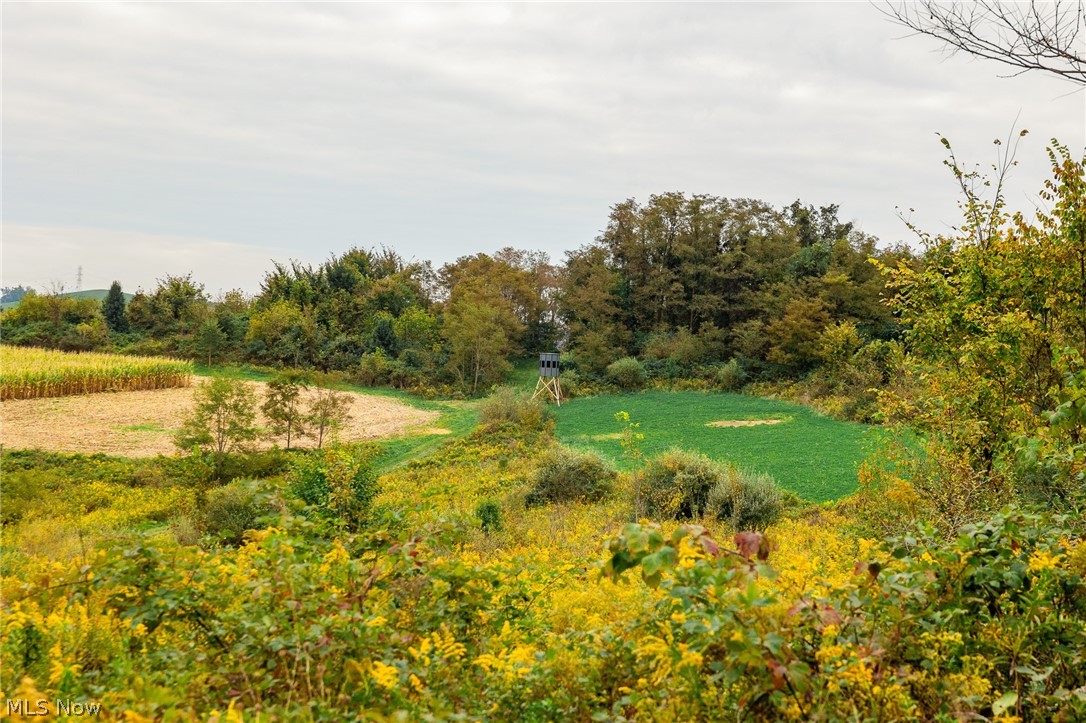 163 County Road 3 Rayland OH 43943
