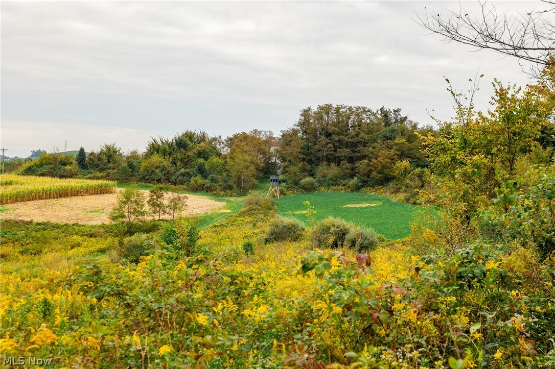 163 County Road 3 Rayland OH 43943