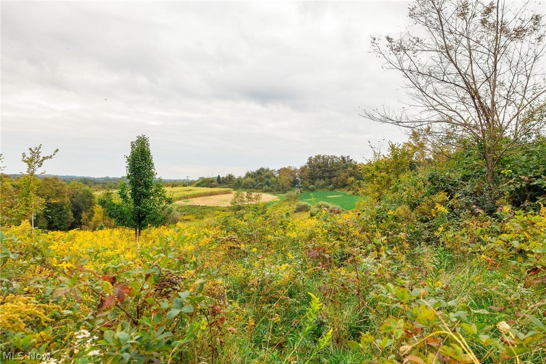 163 County Road 3 Rayland OH 43943