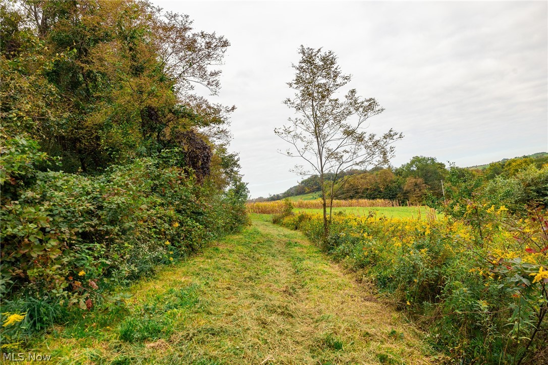 163 County Road 3 Rayland OH 43943