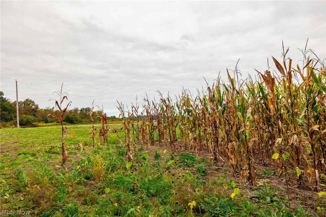 163 County Road 3 Rayland OH 43943