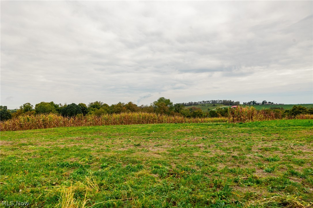 163 County Road 3 Rayland OH 43943