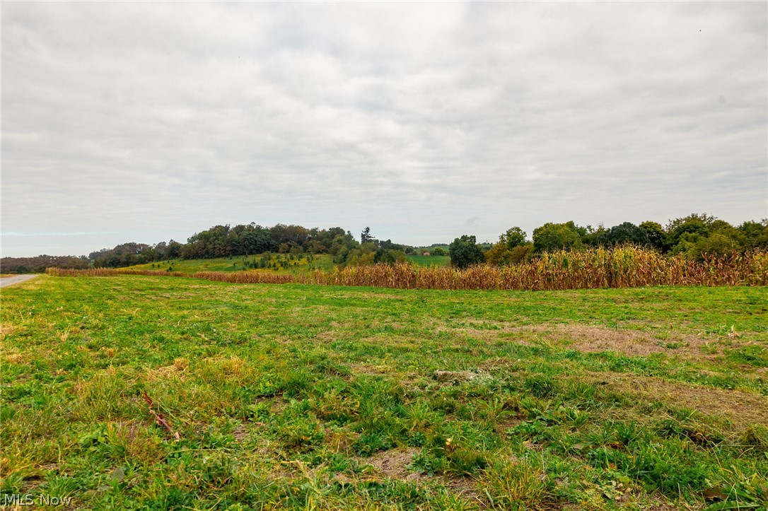 163 County Road 3 Rayland OH 43943