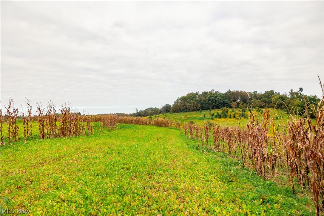 163 County Road 3 Rayland OH 43943