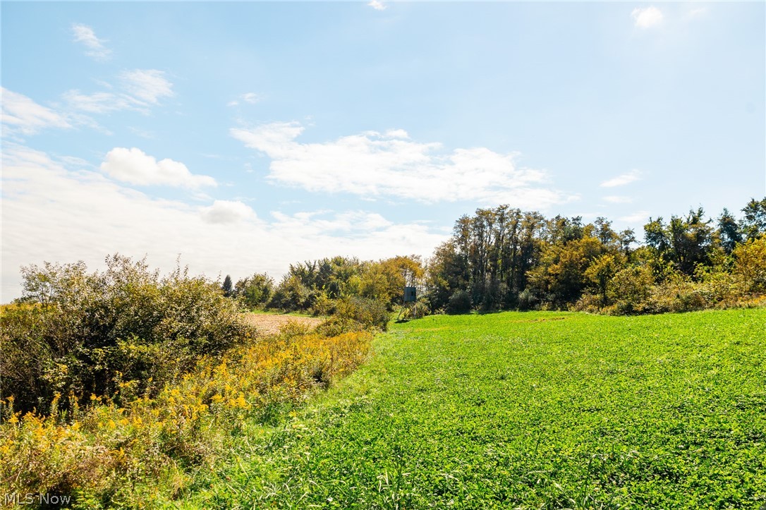 163 County Road 3 Rayland OH 43943