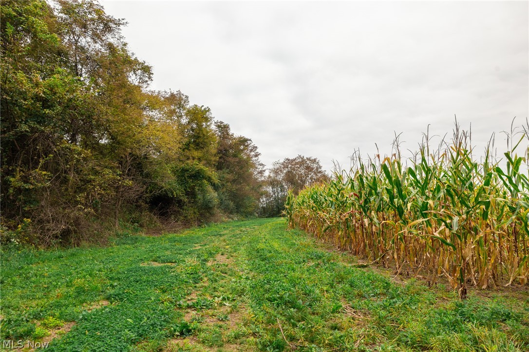 163 County Road 3 Rayland OH 43943