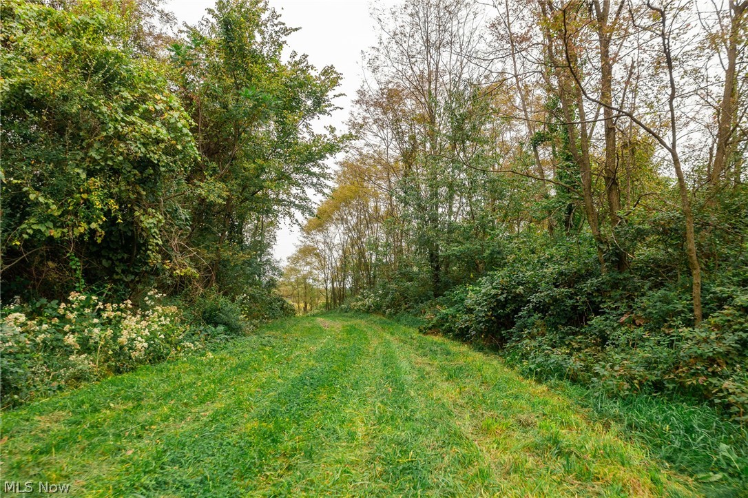 163 County Road 3 Rayland OH 43943