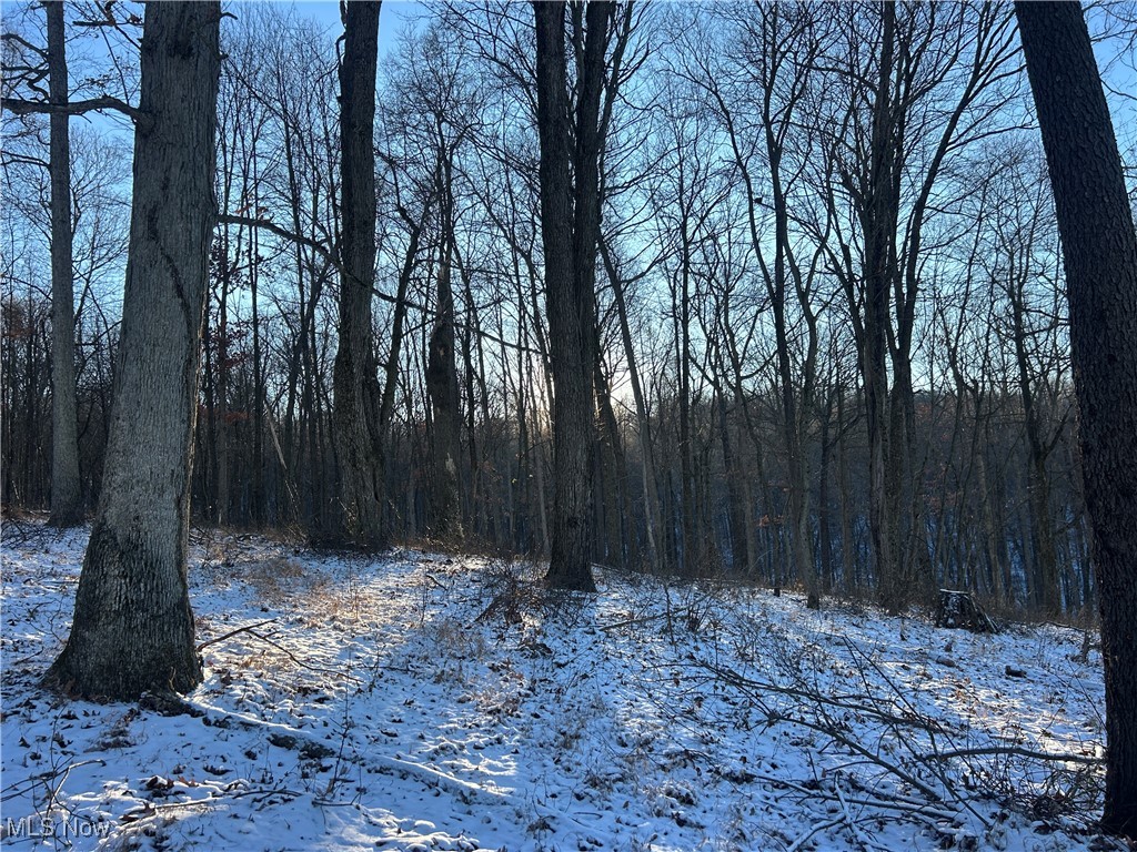 Jug Run Road Walhonding OH 43822