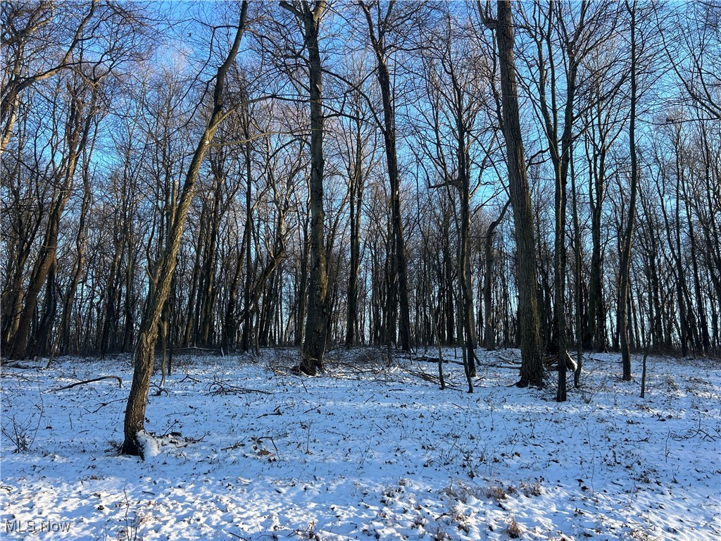 Jug Run Road Walhonding OH 43822
