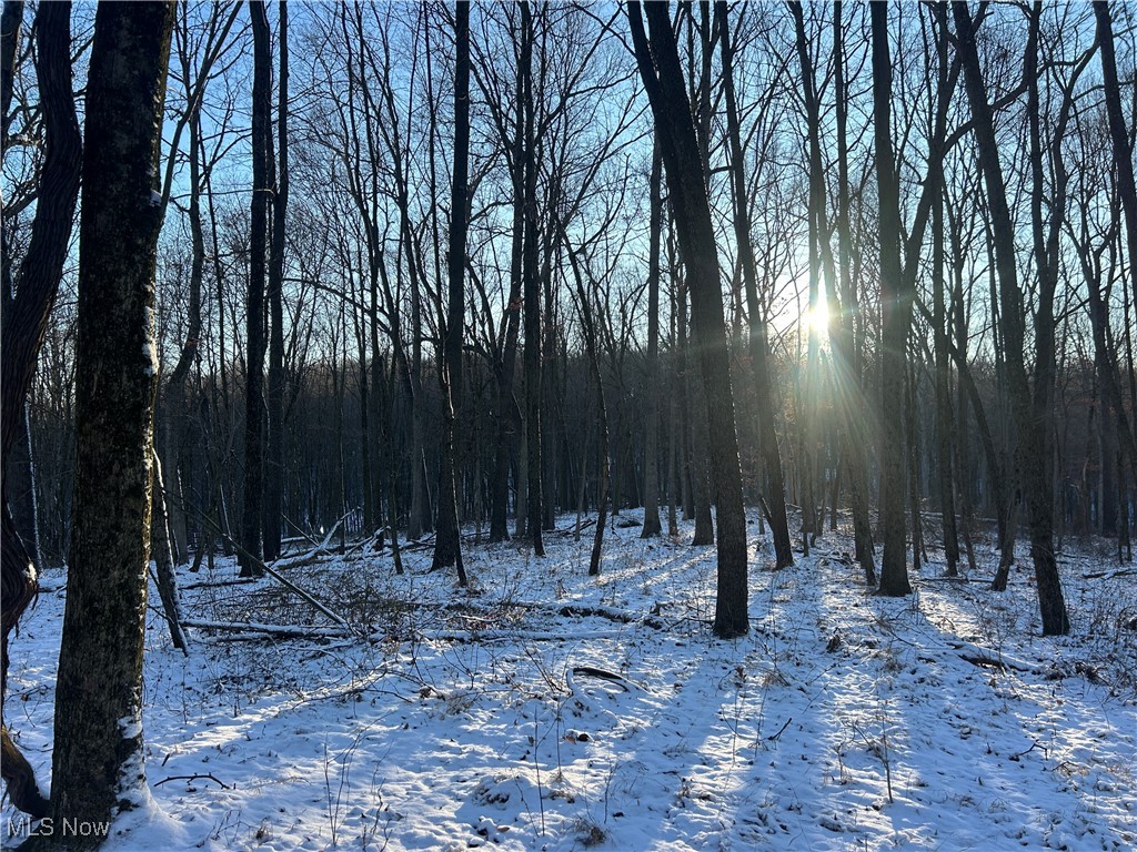 Jug Run Road Walhonding OH 43822
