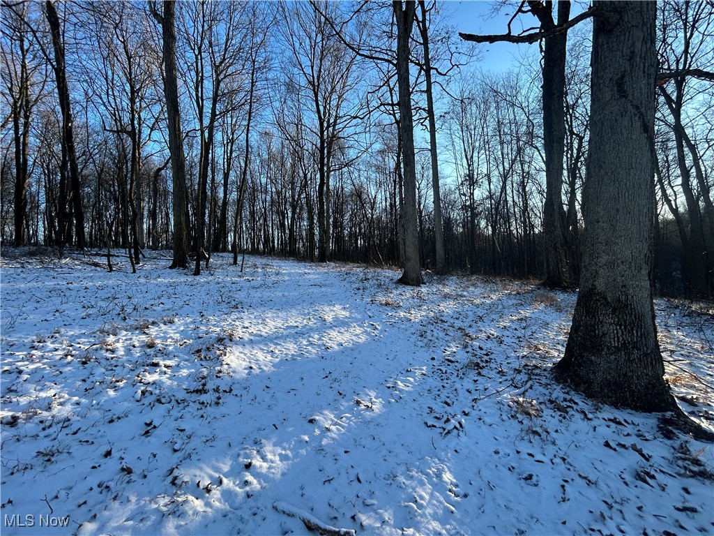 Jug Run Road Walhonding OH 43822