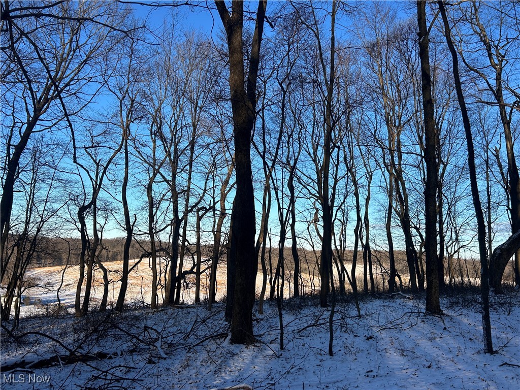 Jug Run Road Walhonding OH 43822