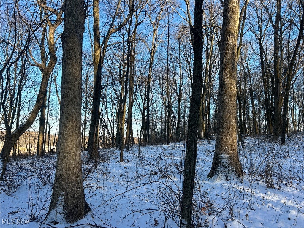 Jug Run Road Walhonding OH 43822