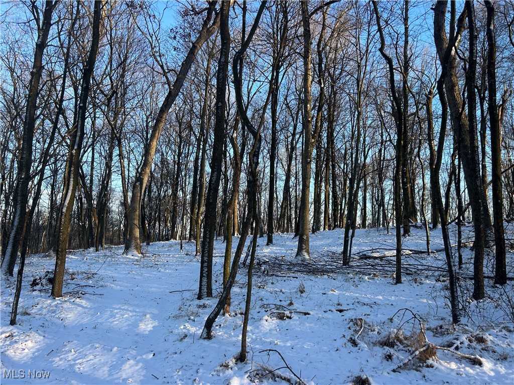 Jug Run Road Walhonding OH 43822