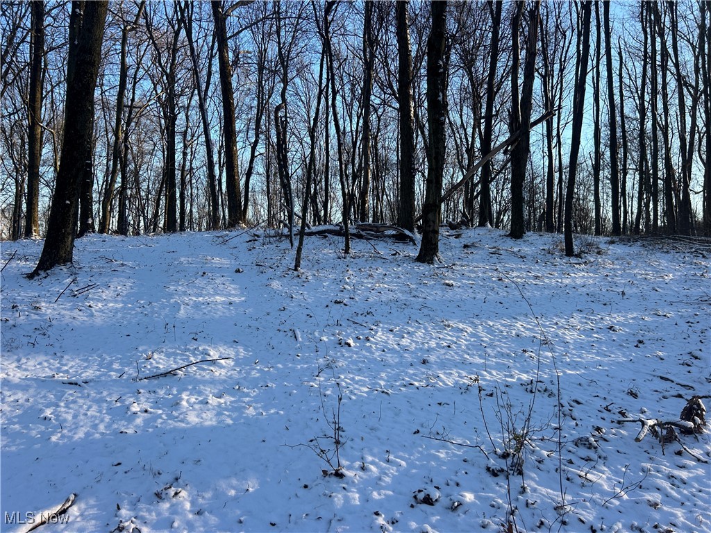 Jug Run Road Walhonding OH 43822