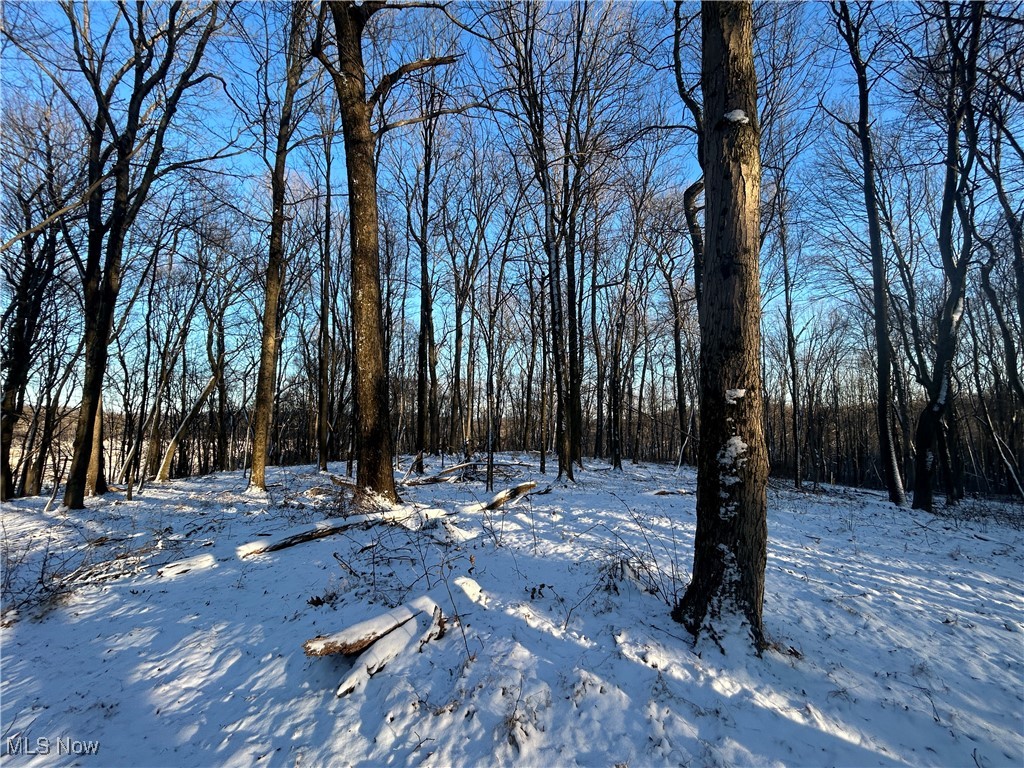 Jug Run Road Walhonding OH 43822