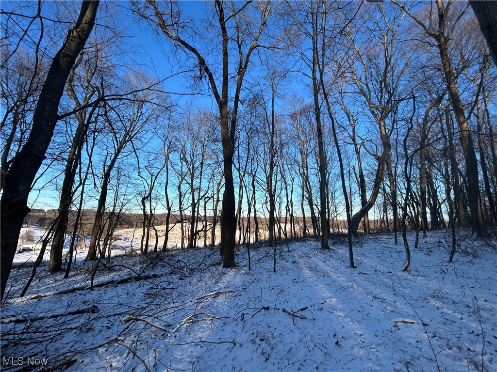 Jug Run Road Walhonding OH 43822