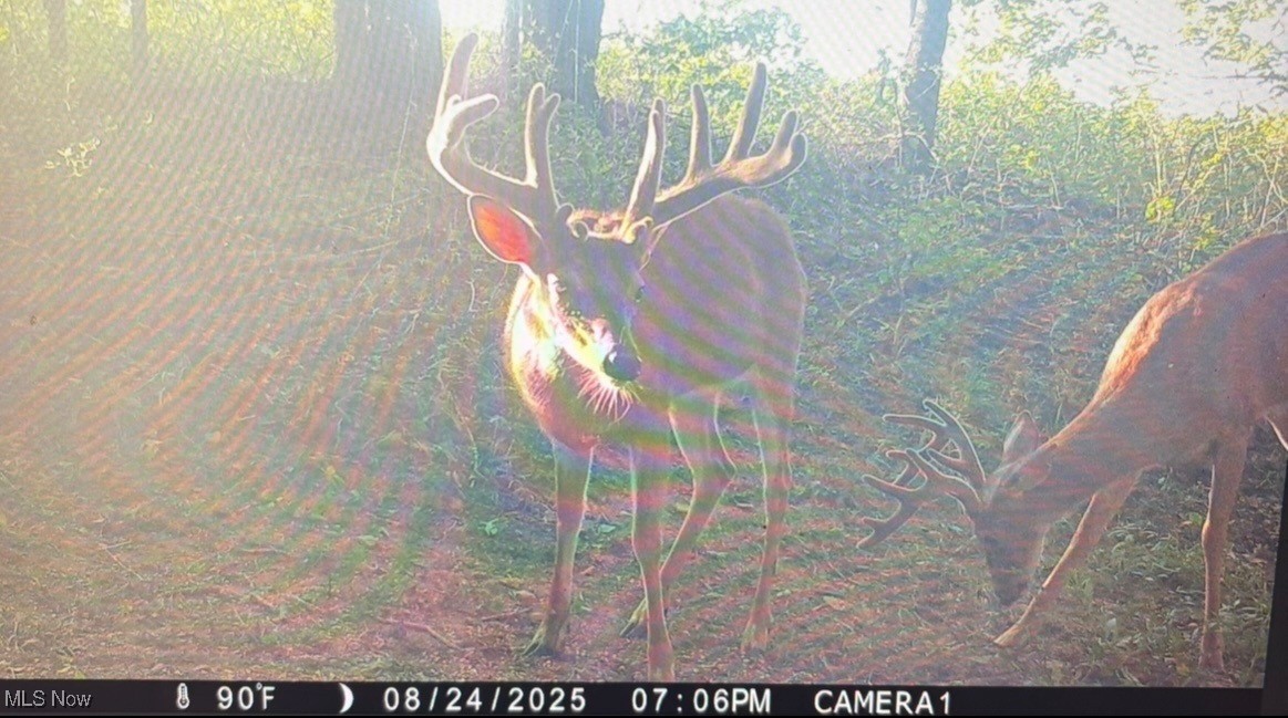 Jug Run Road Walhonding OH 43822