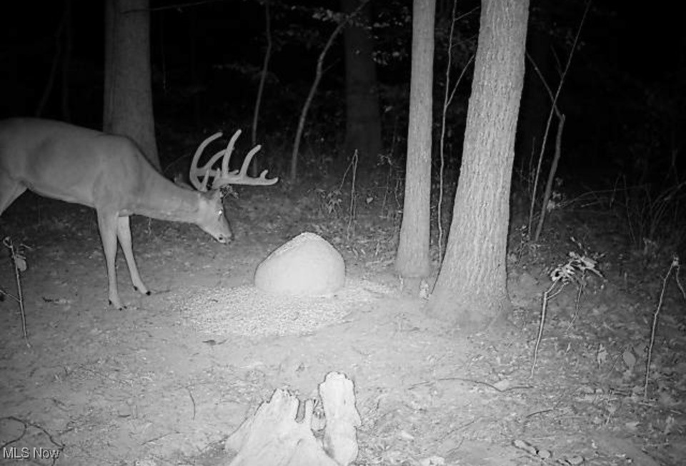 Jug Run Road Walhonding OH 43822