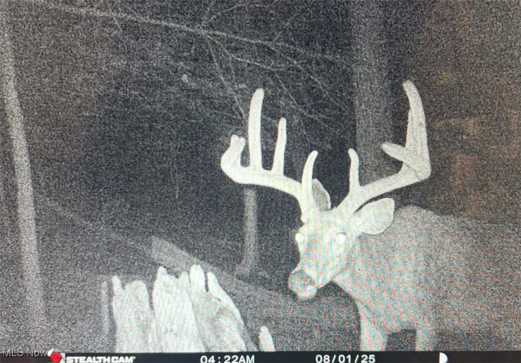 Jug Run Road Walhonding OH 43822