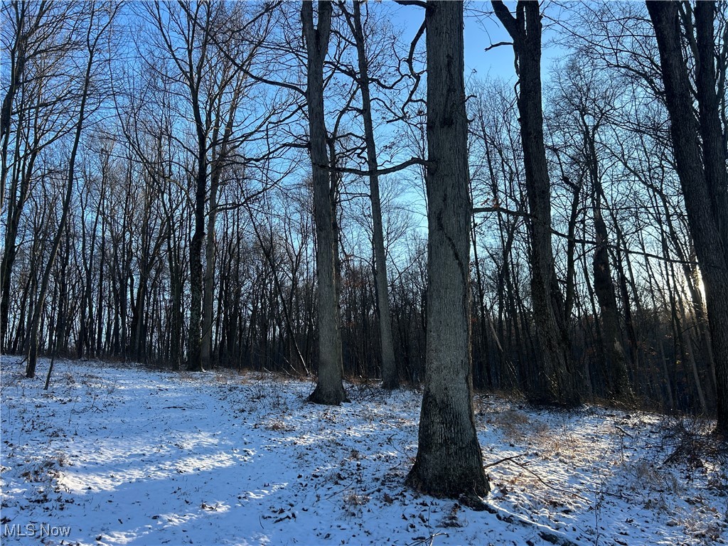 Jug Run Road Walhonding OH 43822