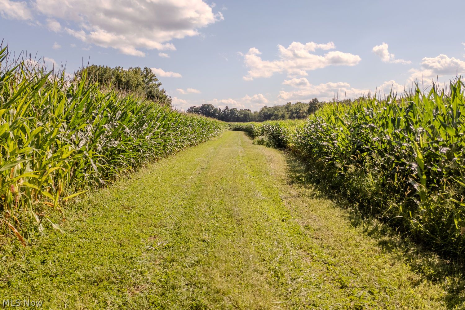 Lot 47 & 48 Alexander Road Mogadore OH 44260