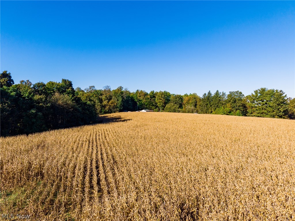 25994 County Road 10 Road Fresno OH 43824