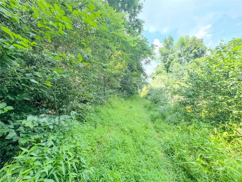 0 Mill Street Road Salesville OH 43778