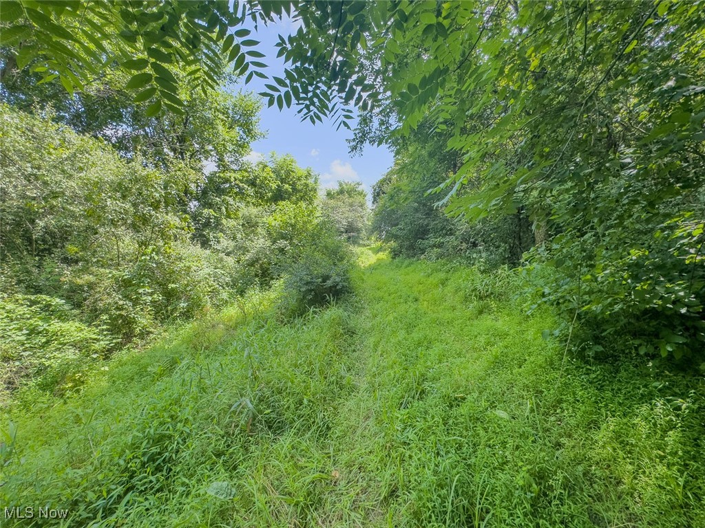 0 Mill Street Road Salesville OH 43778