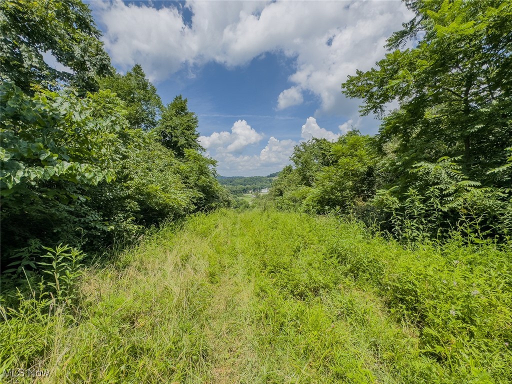 0 Mill Street Road Salesville OH 43778