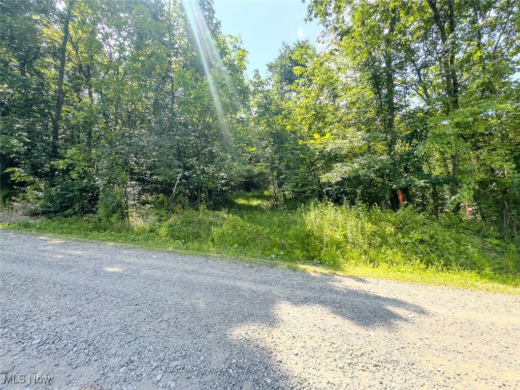 0 Mill Street Road Salesville OH 43778