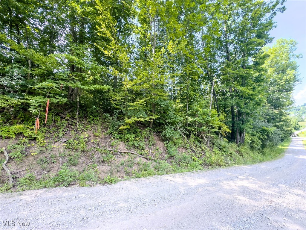 0 Mill Street Road Salesville OH 43778