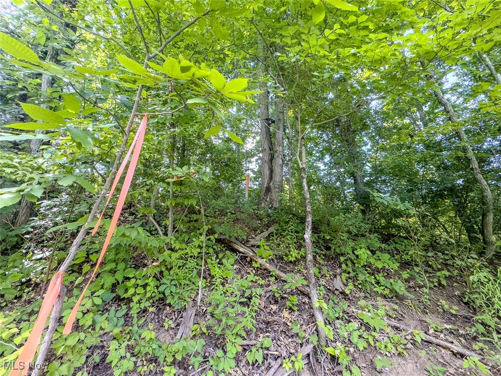 0 Mill Street Road Salesville OH 43778