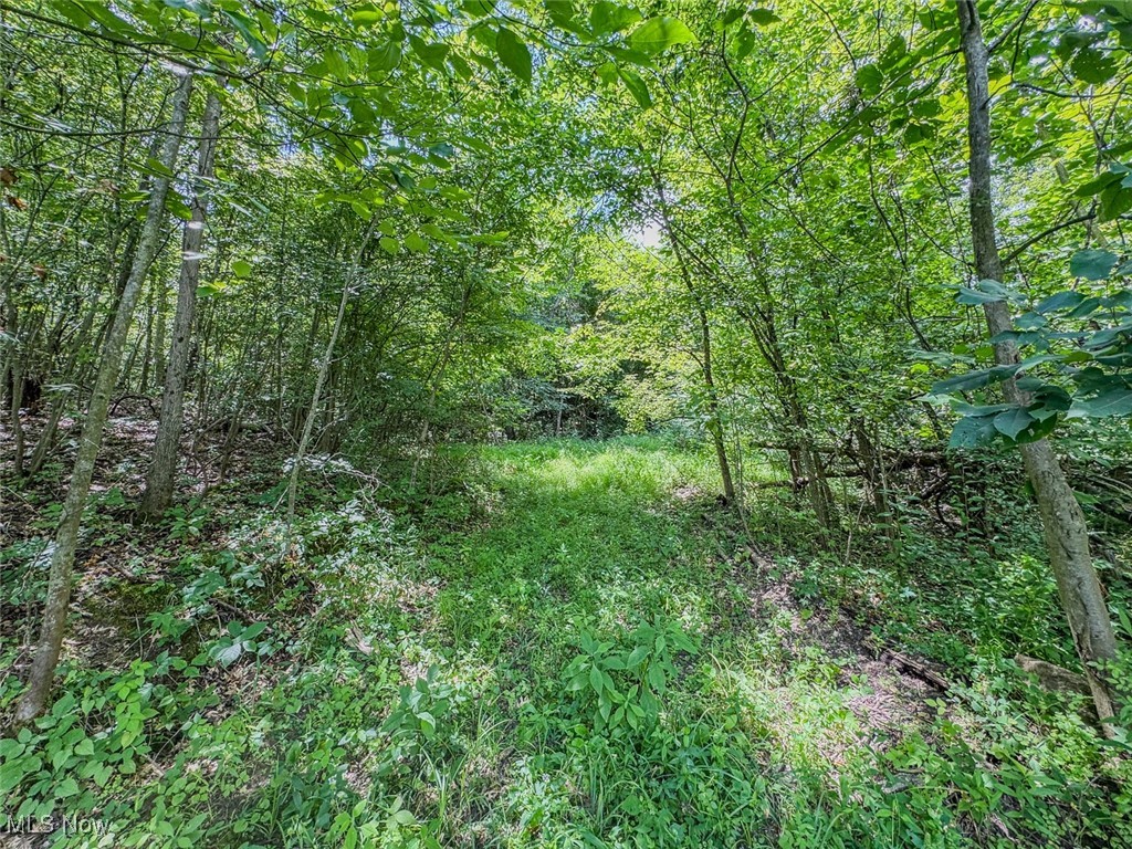 0 Mill Street Road Salesville OH 43778