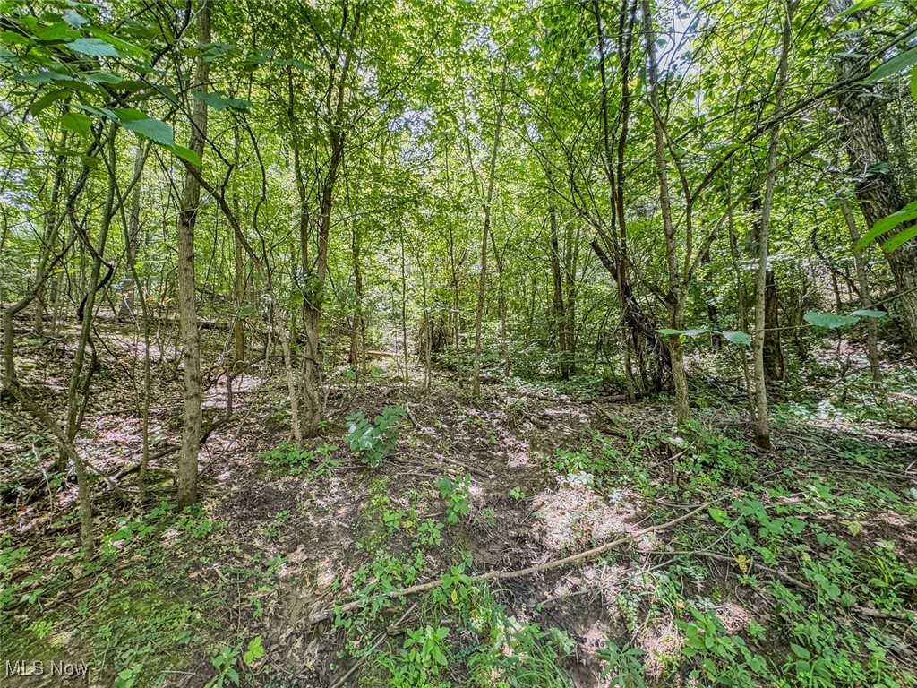 0 Mill Street Road Salesville OH 43778