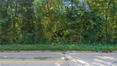 V/l 5th Street Barberton OH 44203