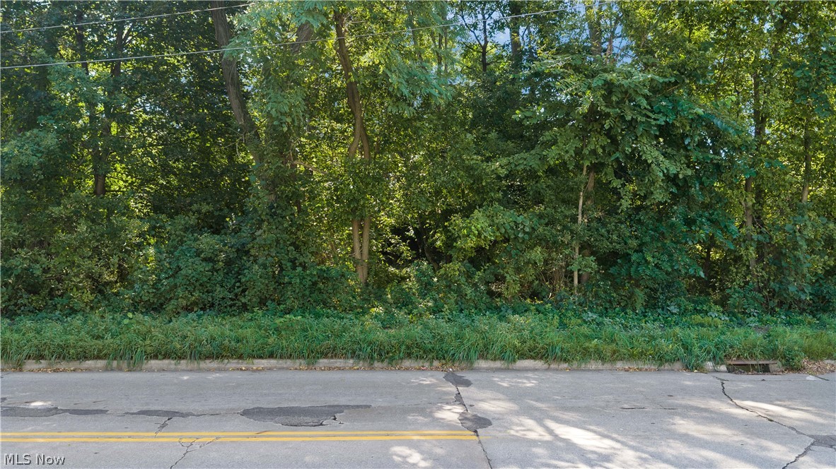 V/l 5th Street Barberton OH 44203