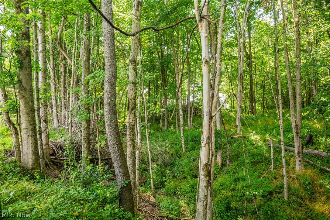 Lot 11 Township Road 51 Somerset OH 43783