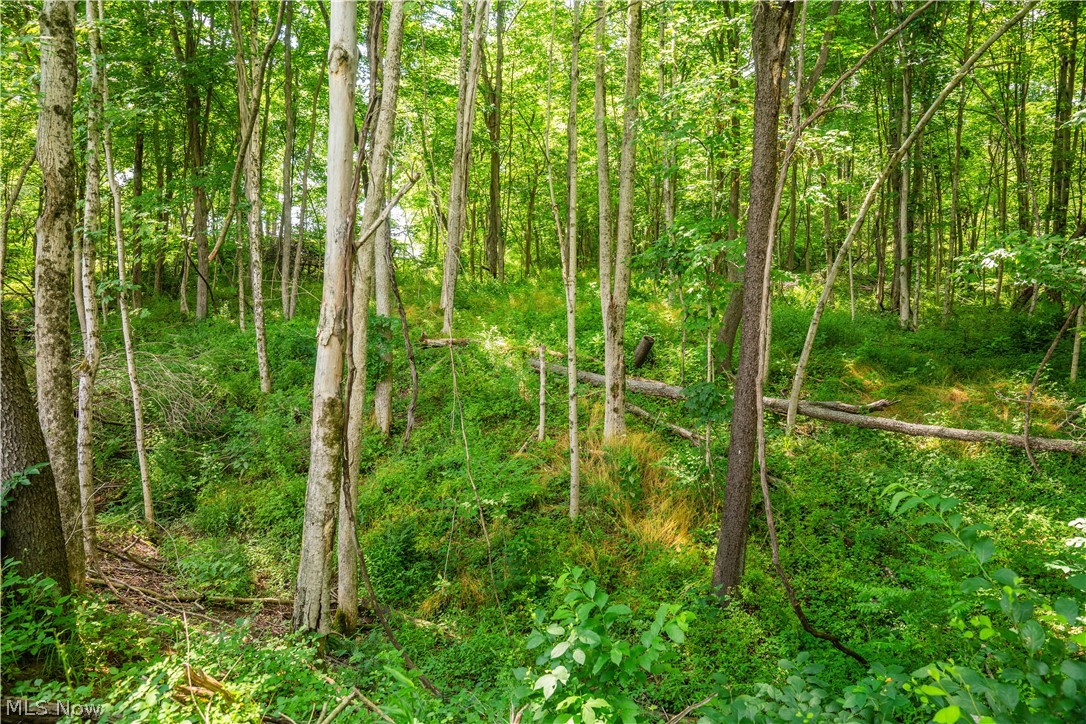 Lot 11 Township Road 51 Somerset OH 43783