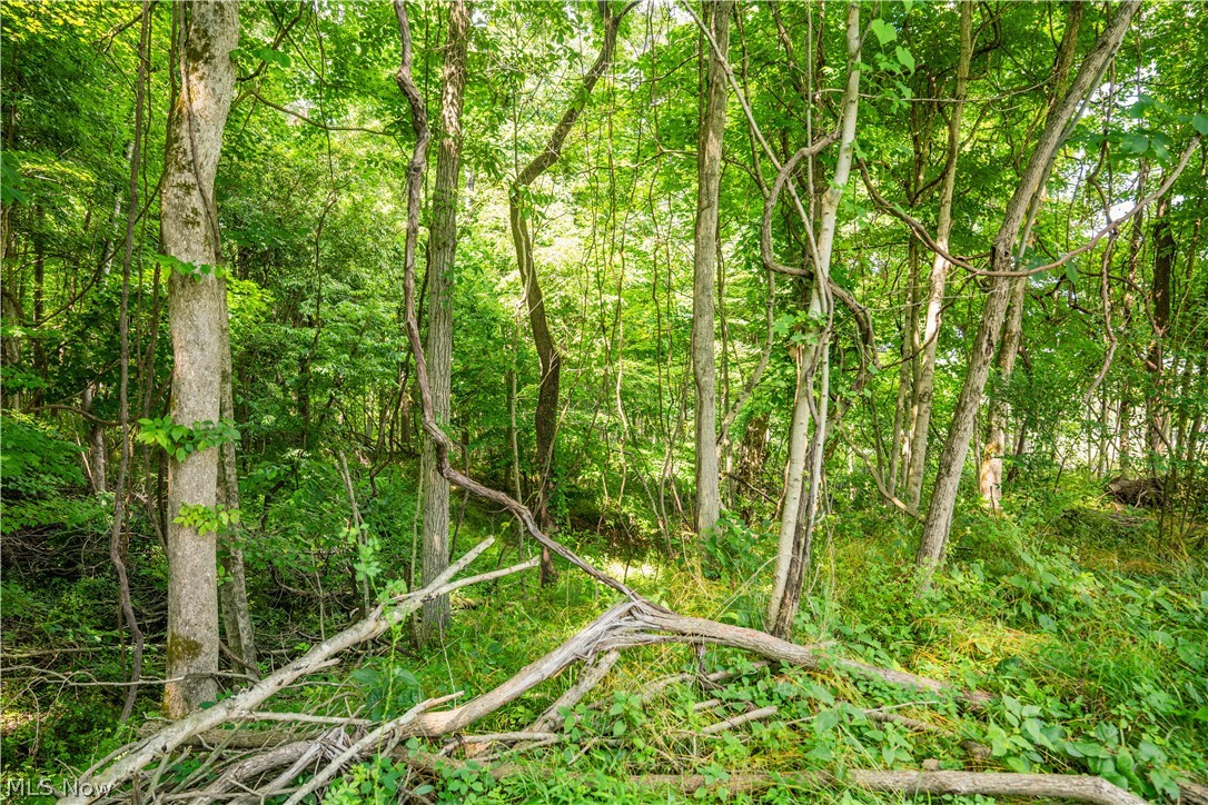 Lot 11 Township Road 51 Somerset OH 43783
