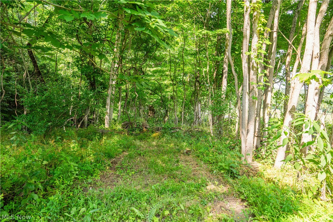 Lot 11 Township Road 51 Somerset OH 43783
