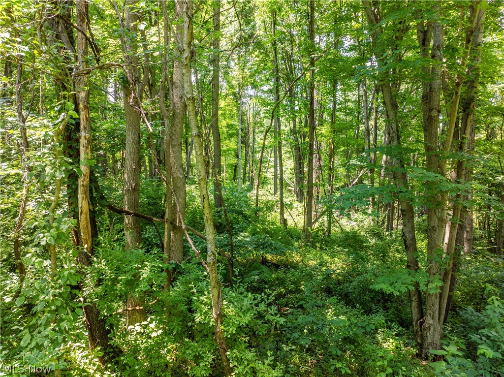 Lot 11 Township Road 51 Somerset OH 43783