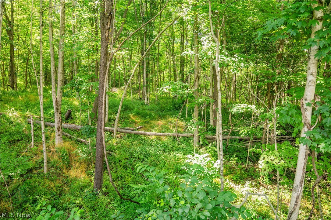 Lot 11 Township Road 51 Somerset OH 43783